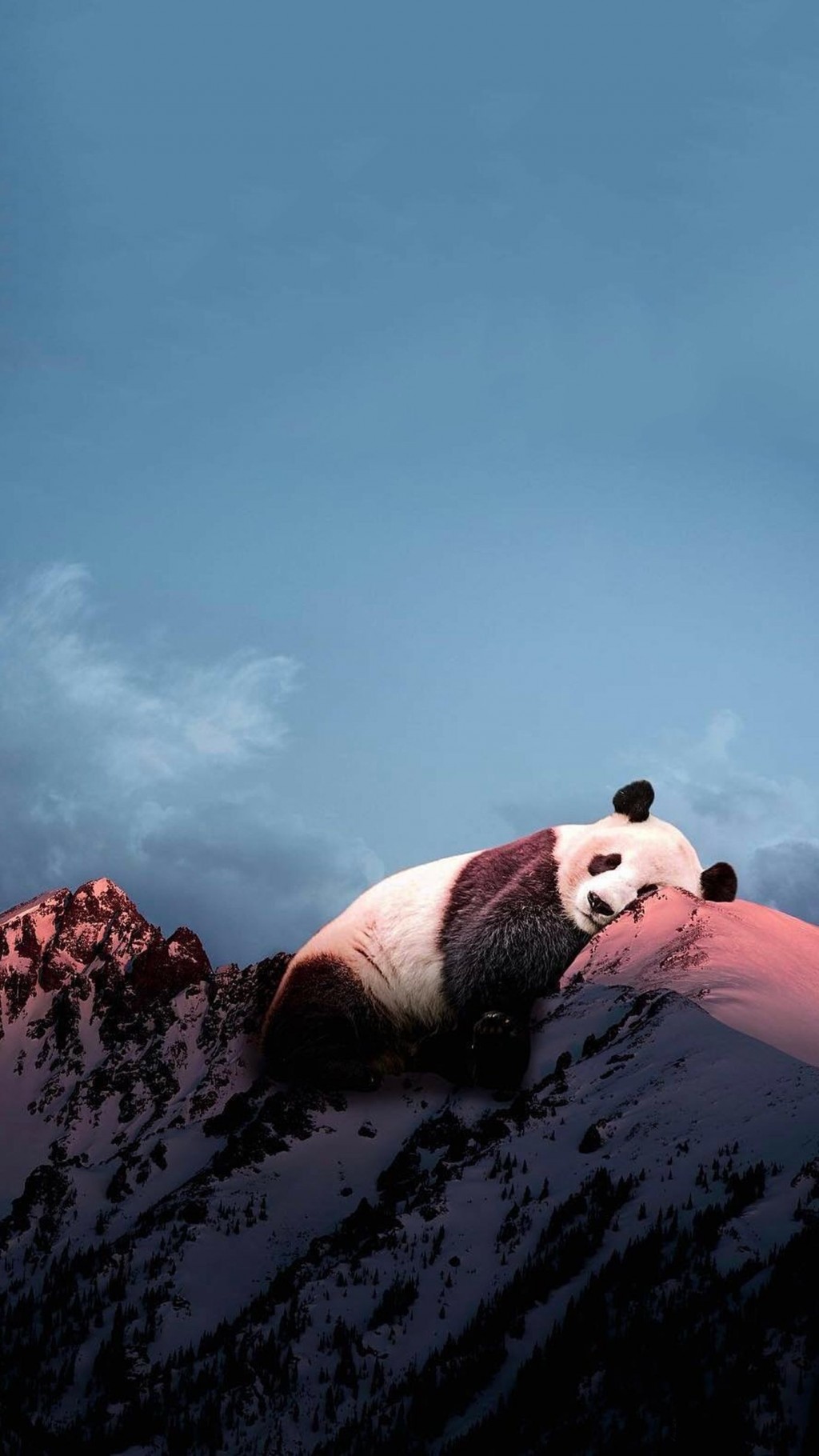 超萌大熊猫创意图片精选