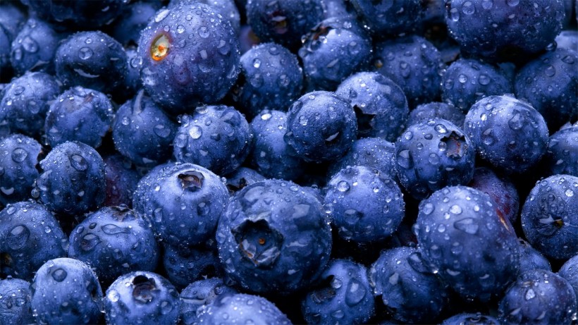丰富维生素新鲜欲滴美味健康的蓝莓高清图片