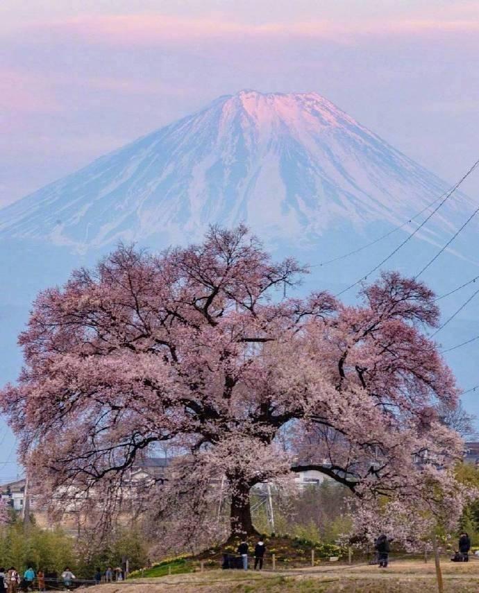 富士山高耸入云自然风景朋友圈图片