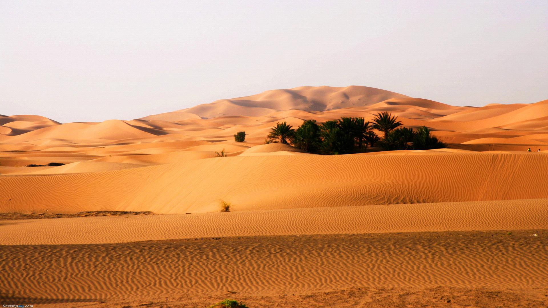 世界第十大沙漠塔克拉玛干沙漠风景摄影图片
