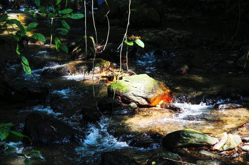 波光粼粼碧波盈盈的溪流自然风景摄影图片