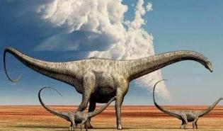 世界上最大的动物 易碎双腔龙体长达到80米(堪比足球场)