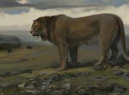 世界上最大的狮子 残暴狮体长为4.5米重800斤(庞然大物)