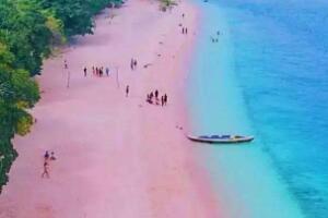 世界上最性感的海滩 粉色沙滩(一个让你少女心炸裂的地方)