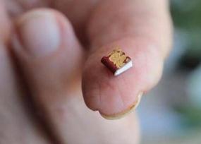 世界上最小的书 仅25微米比人的头发还小(要用显微镜看)
