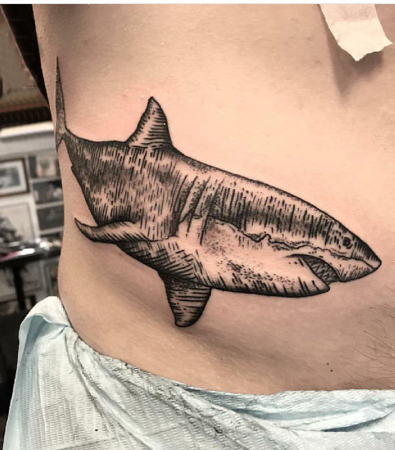 男生侧腰上黑色的鲨鱼纹身图片百乐动物纹身