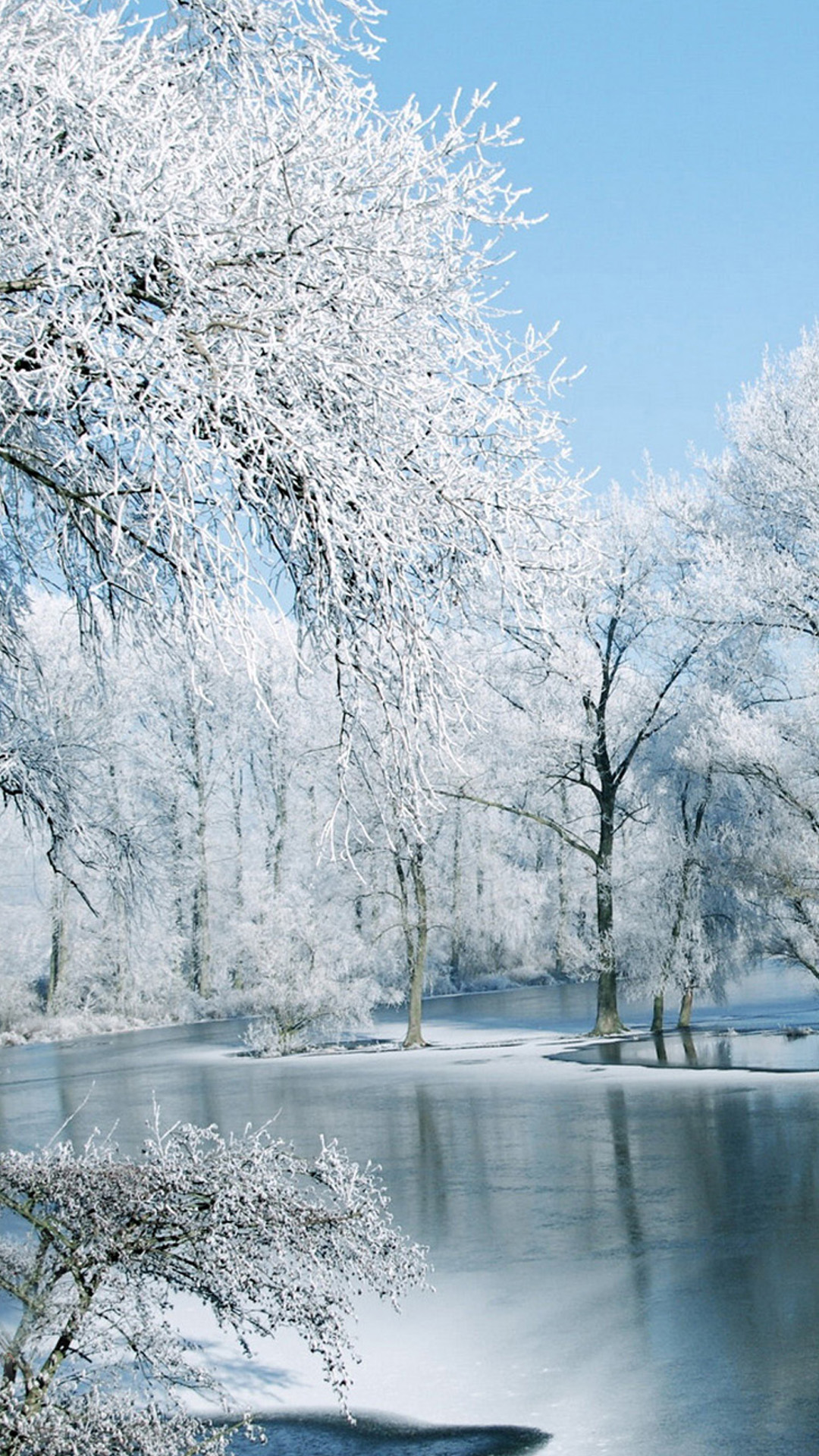 冬天图片大全唯美高清图片