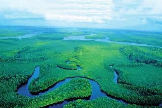 世界上最深的河 刚果河平均深达200多米(深不见底)