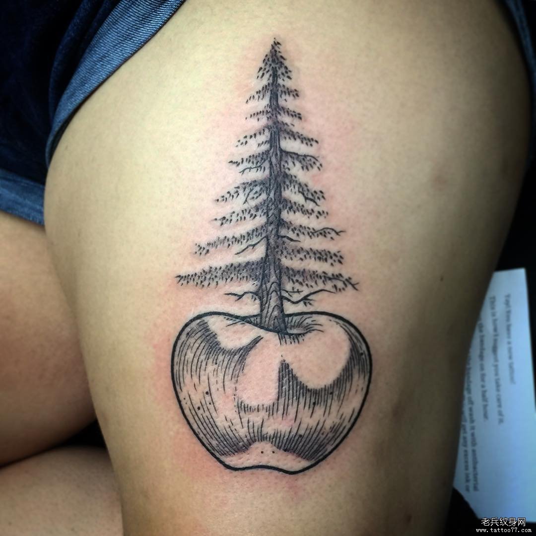 大腿点刺线条苹果树木纹身图案