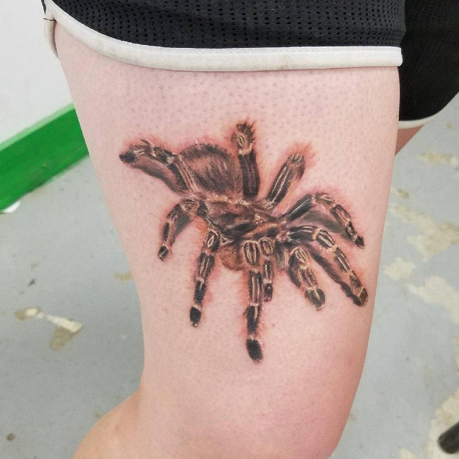 女生大腿上彩绘3d写实小动物蜘蛛纹身图片